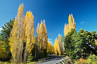 机机对机软件大全：极限竞速地平线调校秘籍，打造专属赛道战车-1