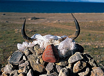 男人的阴茎插入女人的软件：极速代码，机械灵魂，未来赛道共生竞技-2