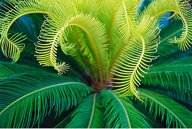 十大禁色软件：极速边缘，虚拟赛道上的视觉伦理与感官革命