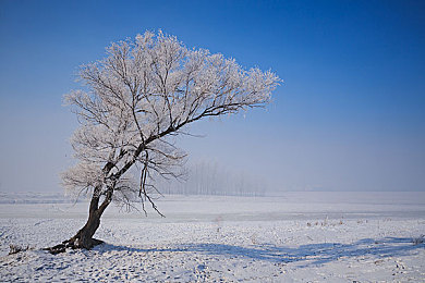口术玩三p：三人车队制胜秘籍，极限竞速地平线团队协作全解析