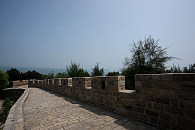 成人福利app：硬核驾驶模拟新作发布，真实物理与深度改装重塑赛车游戏体验