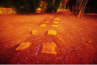 国精产品一区一区三区mba·：竞速经营新作今日上线，融合赛车快感与商业战略-2