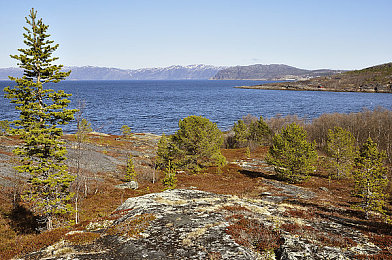 亚洲1区二区:《极限竞速:地平线》全新东方赛道今日上线,都市霓虹与雨林秘境激燃对决-2