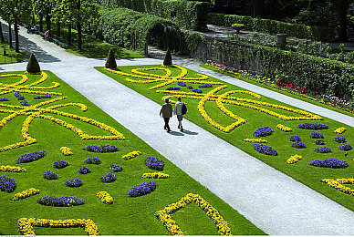 国产av国语：华夏极速，驰骋未来之路-2