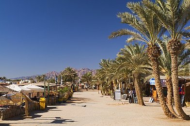 404黄色软件网站：经典赛车游戏重现江湖，玩家苦寻多年终获正版渠道