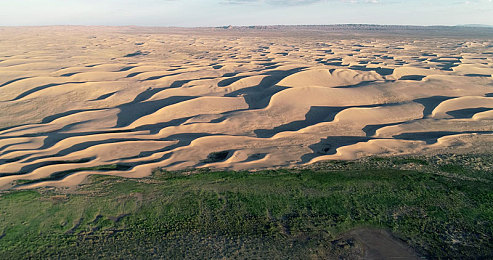 阿娇和陈冠希14分钟：霓虹赛道道德抉择，十四分钟改写竞速结局