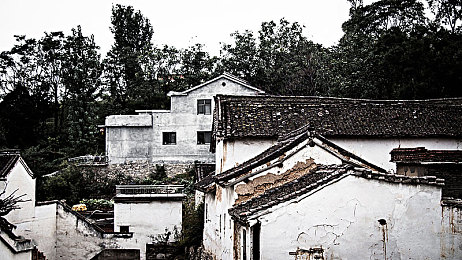 美女被插应用：硬核改装与街头竞速，打造你的专属座驾-4