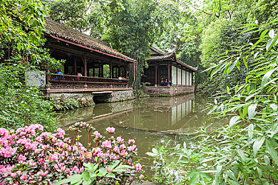 糟老头子破解版v1.0.6安卓介绍：魔性驾驶挑战，解锁全车辆体验荒诞送货之旅