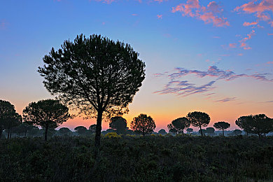 女生吃男生坤坤：弯道女王与直线之王的终极竞速-2