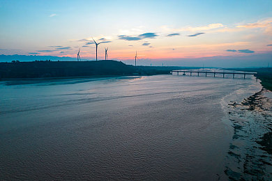 伽罗ちゃんが腿法是模仿的吗：融合机甲与战舞，解析极速格斗角色动作的创造性转化