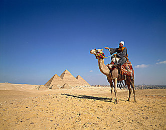 app黄：赛车游戏掀起视觉革命，黄金美学如何重塑极速体验-3