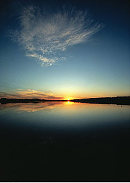 开发老婆3成功案例：霓虹都市中，与AI伴侣共驰骋，情感随引擎轰鸣而生长-1