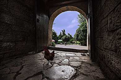 福利视频app导航网：驾驭地平线，在墨西哥画卷中收藏极速艺术