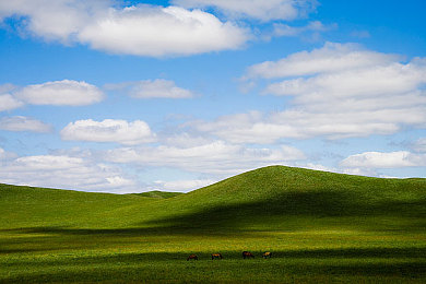 火影忍者18：疾风赛道，忍车合一的竞速新体验-1