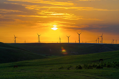 法国空姐：云端舞者，香榭丽舍的极速诗篇-3