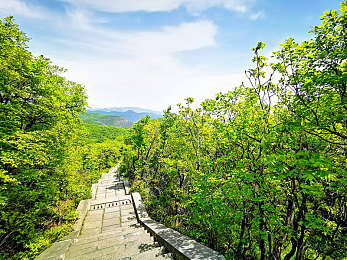 黄色软件下载3.0.3免费安装：极速狂飙全新版本上线，动态天气与深度调校颠覆竞速体验-3