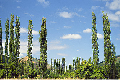 男生与女生叉叉叉很疼APP大全：极限碰撞革新赛车体验，拟真痛感模拟重塑驾驶沉浸-2