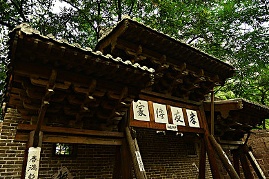 软件网站下载3.0.3免费下载安装每天更新：极限竞速地平线5持续更新，墨西哥赛车嘉年华再添新篇-3