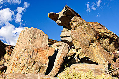 色就色宗合：视觉交响，机械诗篇，驰骋于墨西哥的调色盘-2