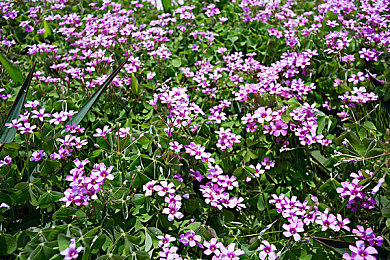 爱弓凉最值得看的三部剧：弓箭手成长史诗，三重境界体验箭术美学之旅