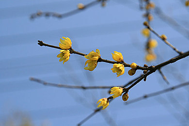 男生和女生搞基的软件：极速轨迹，心灵协奏的虚拟竞速社会-2