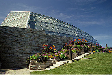 成人ay：地平线5深度解析，从竞速新手到驾驶艺术家的终极蜕变之路-2