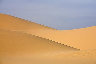 十大无视风险安装app：极限驾驶模拟，街头改装与自由竞速的终极数字车库-3