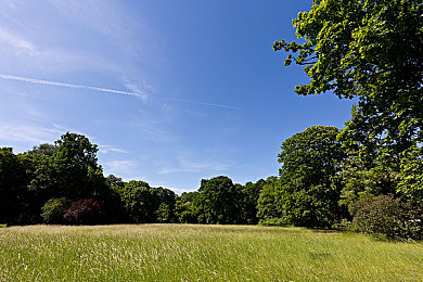 男生把女生困在一个角落：弯道封锁战术，体验心理博弈与极致驾驶艺术-1