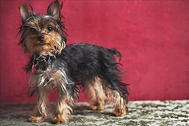 404黄台软件禁用APP入口大全：极限代码都市狂飙，数字迷宫中的赛车解谜之旅-3