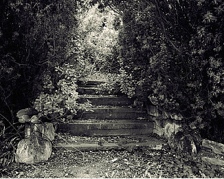 里番-同人-同人-ACG☆：幻想竞速，次元轨迹与虚拟车轮的交响诗篇-2