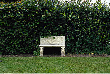 黄色app下载3.0：墨西哥狂飙，地平线五季的视觉引擎盛宴-4