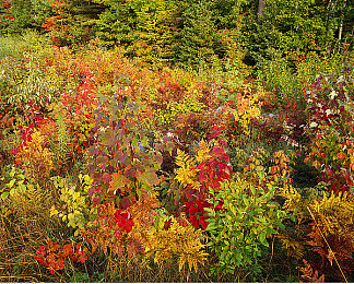 另类残忍bdsmGay调教男奴：钢铁猛兽驯服记，人车合一驾驶修行录-2