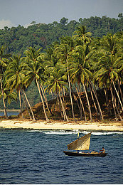男的操女的APP:极速狂飙性别对决上线,深度改装与动态天气颠覆竞速体验-2