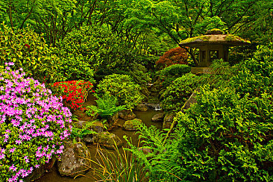 黄色软件污污污:疾风黄标,极速调校,赛道轰鸣的工程艺术-3