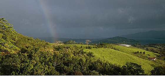 xax manta uzun, haya, uzun360：极速谜踪，动态赛道与隐藏密码的终极竞逐