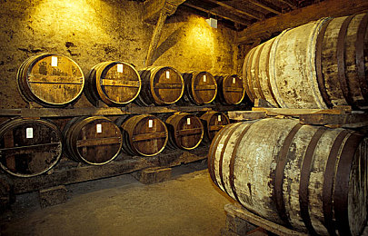 区一区二区三区四：驾驭地平线，征服四域竞速之旅-3