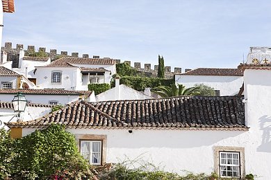 oppo每天无限次下载3.0.3：极速狂飙无限重启，每日赛道焕新挑战永不停歇