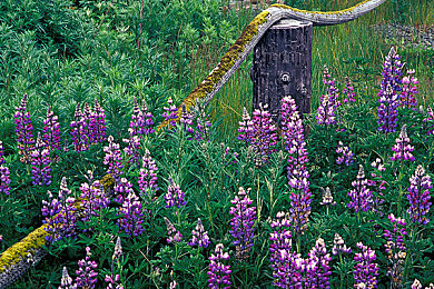 流氓视频免费下载：飙车风云，用数据破解对手，在街头竞速中智取胜利
