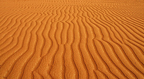 体育生自慰gay：《极速青春：赛道之心》今日上线，校园竞速引爆速度与友情的双重对决-1