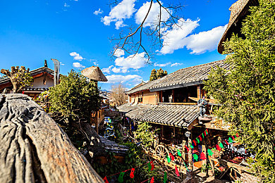 黄色软件333:极速图腾,墨西哥的黄金代码与竞速哲学-2