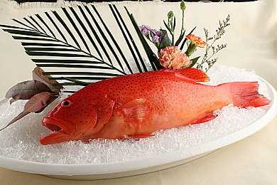 兽人18+手游：狂野引擎驱动钢铁猛兽，废土竞速引爆血脉对决-2