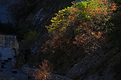 国产视频强奸乱伦：科技伦理下的罪案追缉，数字侦探面临道德抉择