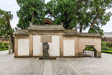 少妇与公豬交xXXX-：钢铁与荒野的共生，绝境狂飙的生存博弈