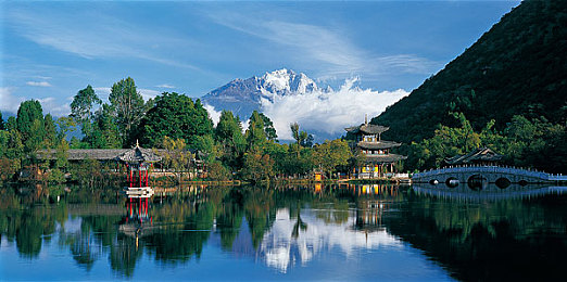 男人插曲女人软件：极速心跳，情感赛道，轰鸣与低语的双重旅程