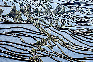 404款禁用软件:揭秘街头赛车新作,当非法改装遭遇未来AI追捕-3