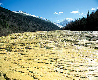 体育生捆绑：疾速策略，墨西哥赛道上的全能驾驭艺术