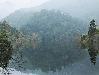 蝌蚪窝一个释放蝌蚪的平台：竞速新纪元，生物进化与极速狂飙的创意融合今日上线-3