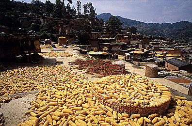 国产一区二区三区四区三区：从新手到大师，赛车游戏的五段进阶心法全解析-3