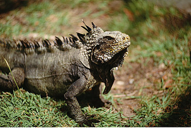 黄色软件app下载3.0.3免费OPPO版大全装扮2023：极速定制时代来临，打造你的专属赛车美学-2