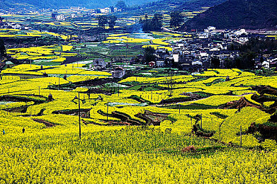 男女一起差差差的APP:极速搭档上线双人竞速新模式,默契协作共闯赛道-2